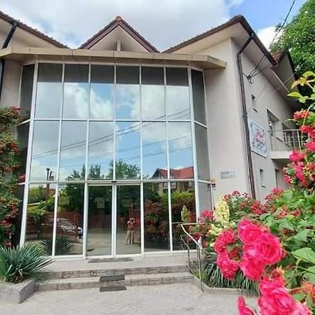 Villa Grande Iasi Exterior foto