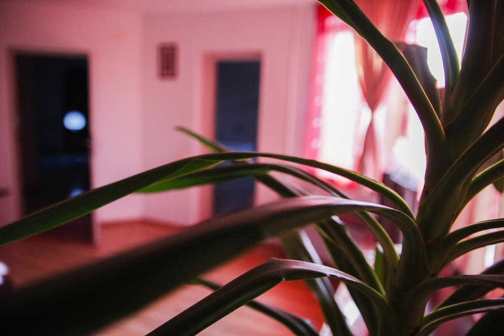 Villa Grande Iasi Zimmer foto